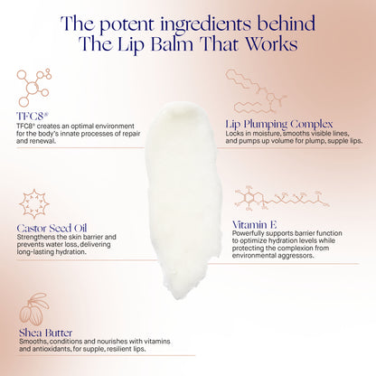 Augustinus Bader Lip Balm | Metro DC Area Skincare Boutique